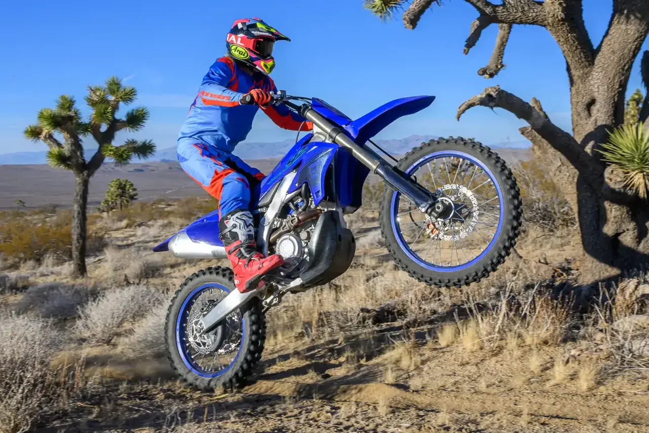 Motocyklista w stroju Alpinestars A-10 wykonuje wheelie na pustynnym terenie, w tle drzewa Jozuego.
