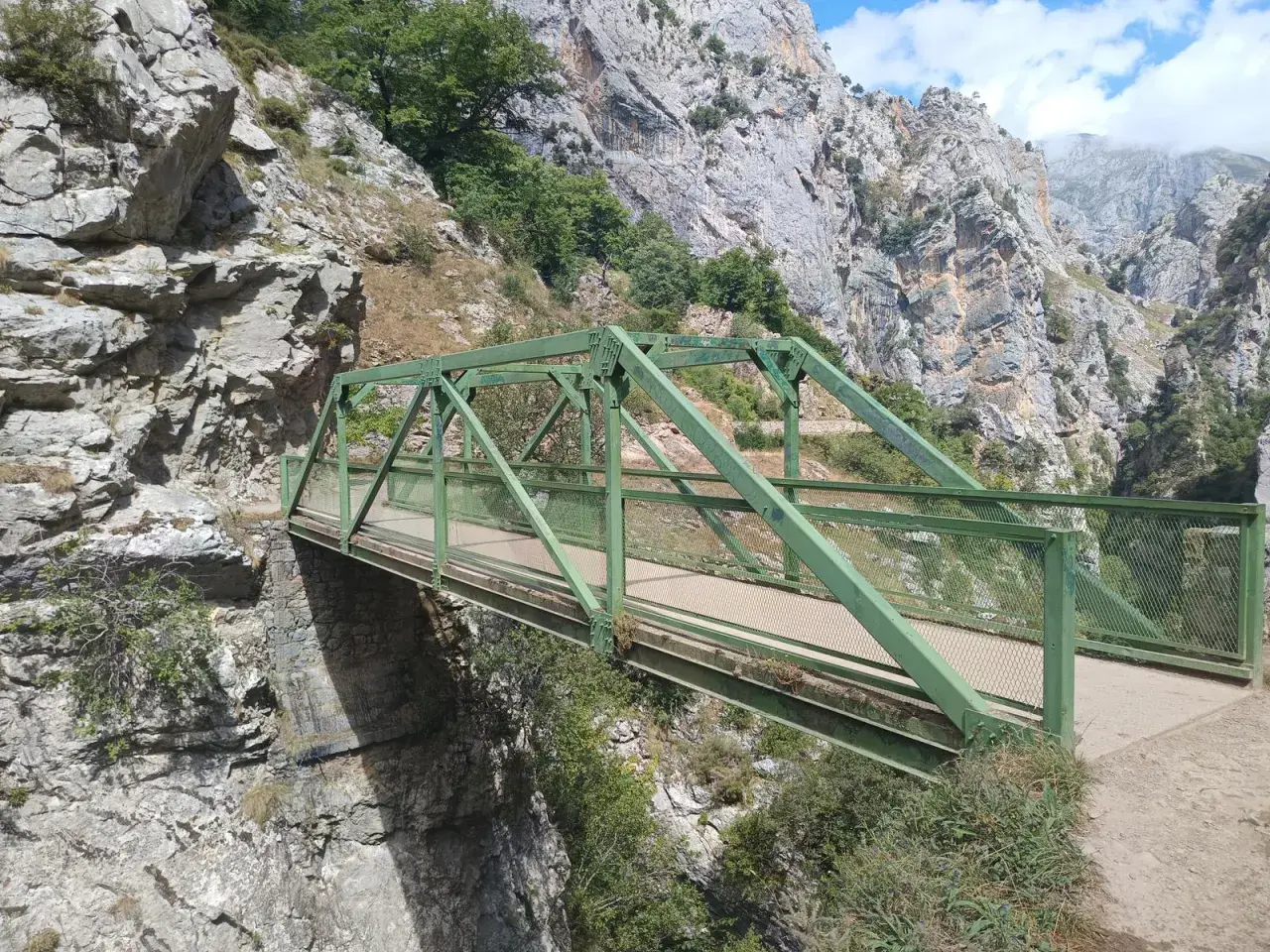 Puente Dobra, una estructura verde metálica cruza un desfiladero rocoso con vegetación.