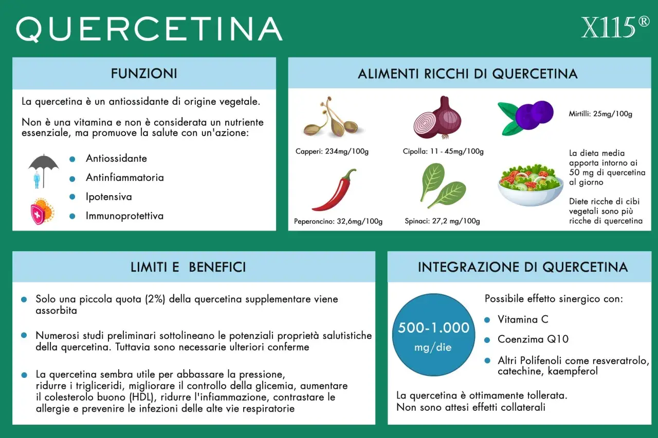La quercetina, un antiossidante vegetale, offre numerosi benefici per la salute, tra cui proprietà antinfiammatorie e immunoprotettive.