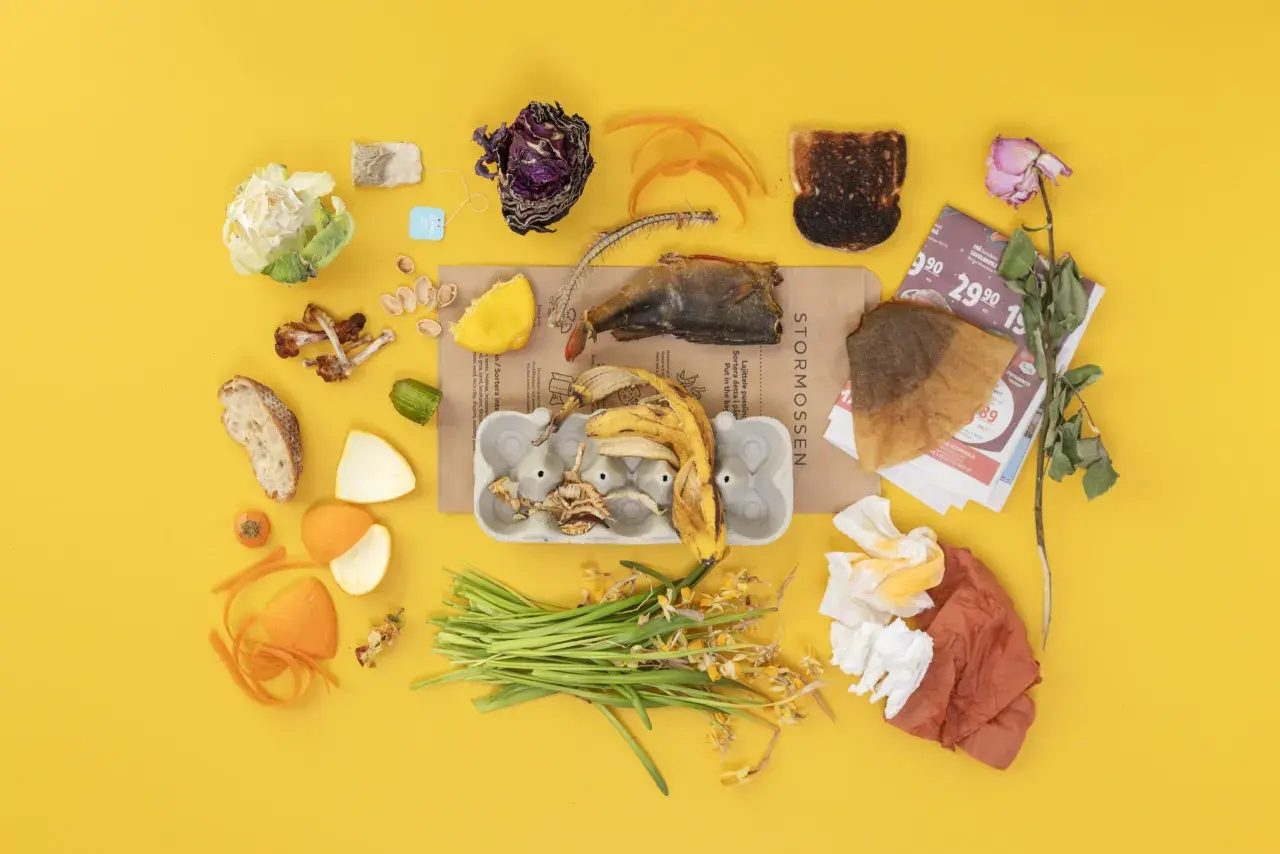 En samling organiskt avfall: bananskal, fiskskelett, bränt bröd, grönsaker, blommor och papper.