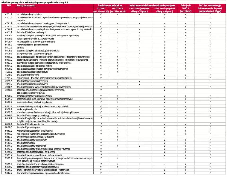 Jakie kody pkd tarcza 6.0? Sprawdź, czy twój biznes kwalifikuje się do wsparcia