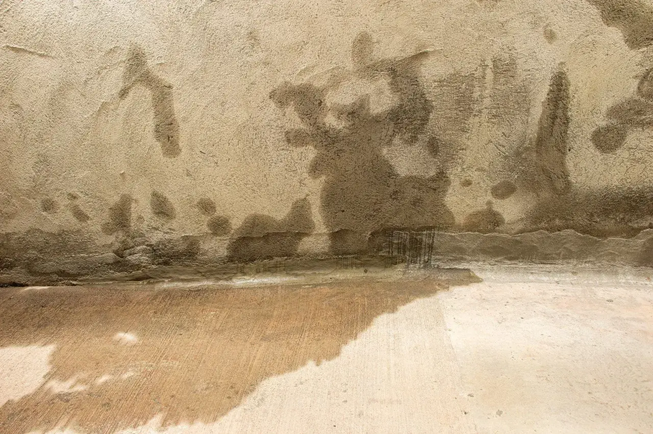 Feuchte Wand und nasser Boden im Keller nach starkregen. Grundwasser dringt ein und hinterlässt dunkle Flecken.