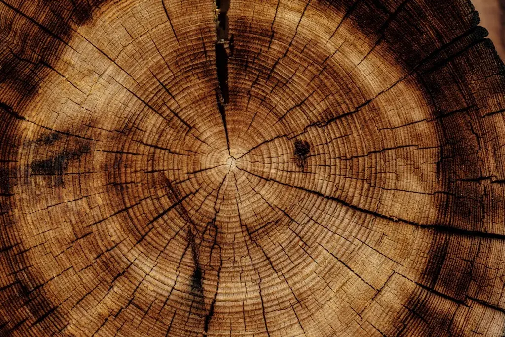Impregnacja drewna – skuteczna ochrona na lata