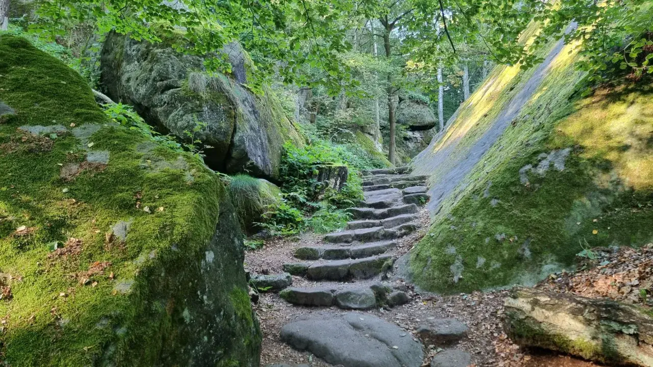 Moosbewachsene Felsen säumen einen steinernen Treppenweg, der zu einer Lilienstein Wanderung einlädt.