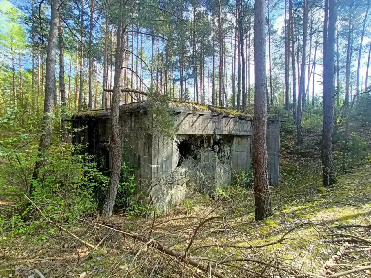 Opuszczony bunkier w lesie, zniszczony przez czas i wojnę. Jego betonowa konstrukcja nosi ślady dawnych walk, świadcząc o historycznym urazie.