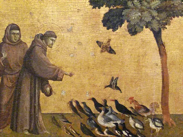Św. Franciszek: Patron zwierząt i ekologii. Kogo jeszcze prosić?