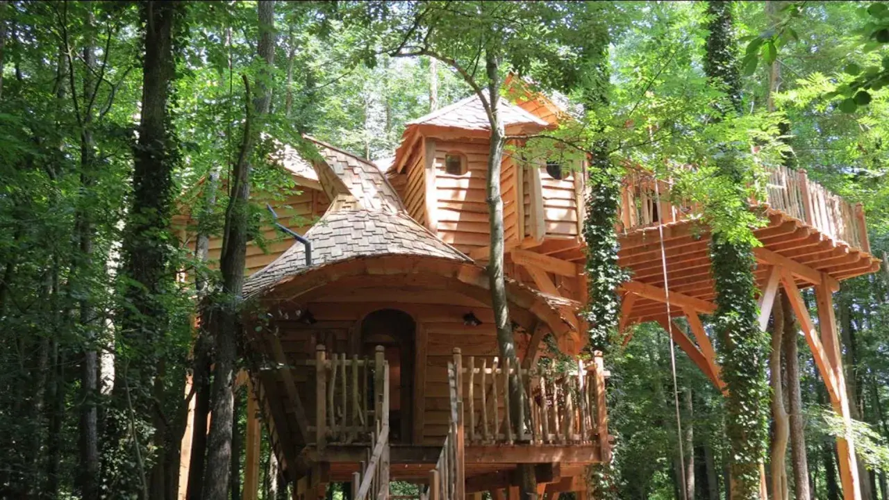 Magnifiques cabanes dans les arbres en Île-de-France, nichées au cœur d'une forêt luxuriante. Un rêve d'enfant devenu réalité.