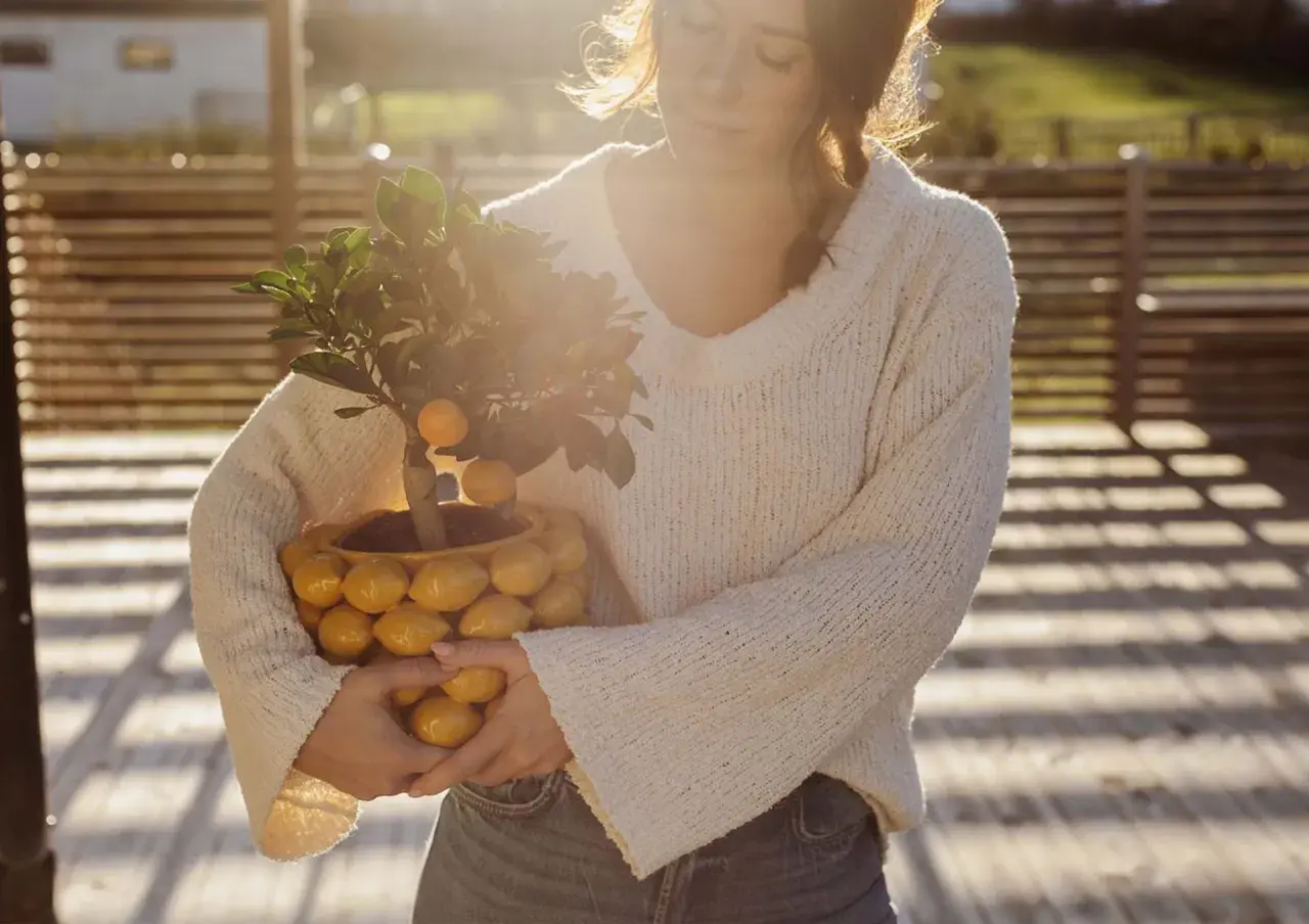 En kvinna håller en krukväxt med små citrusfrukter, en Citrus limon medica, i en kruka formad som citroner.