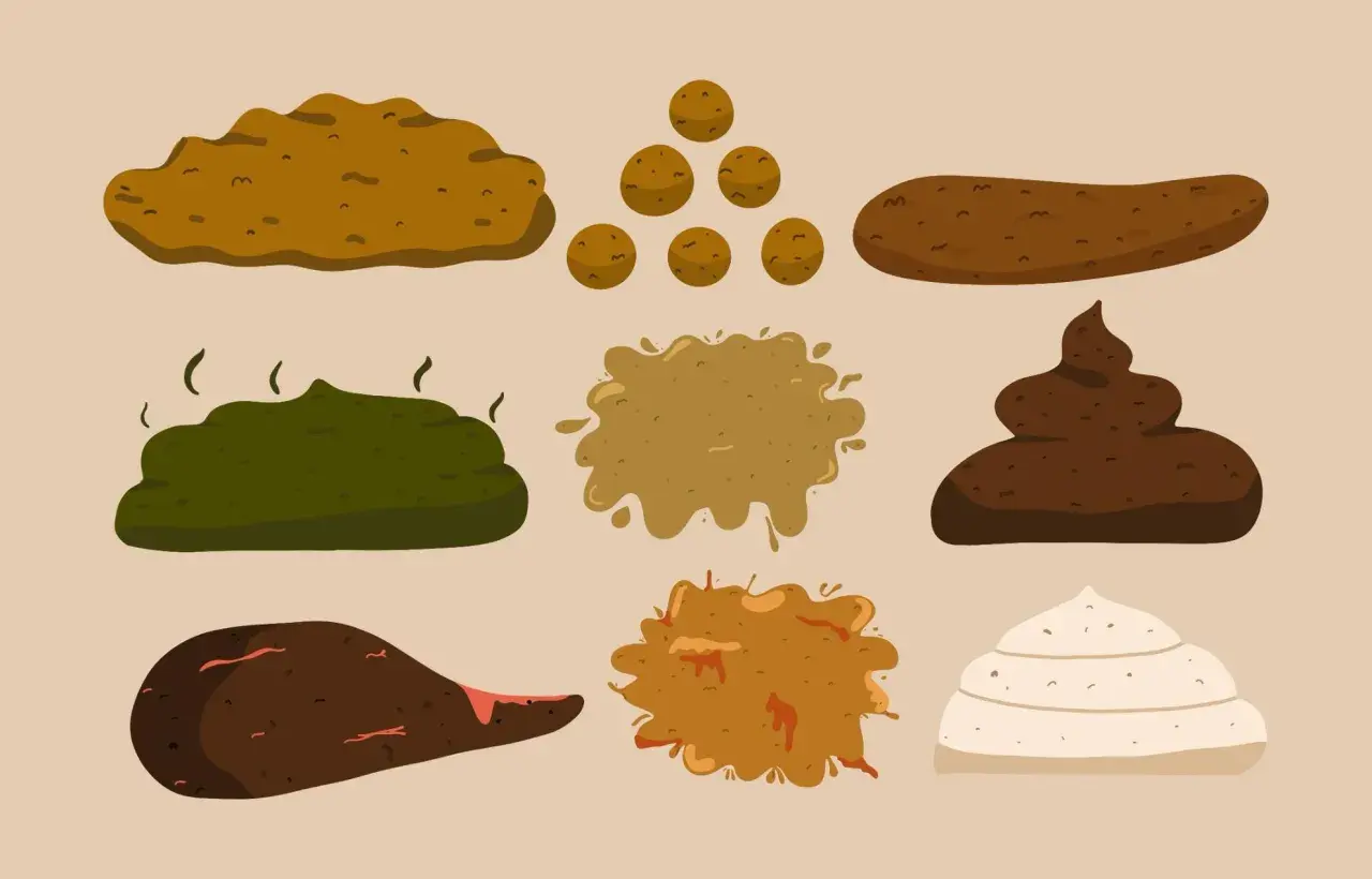 Illustration av olika typer av bajs, från ljust till mörkt. En del ser ut som klumpar, andra som en smet.