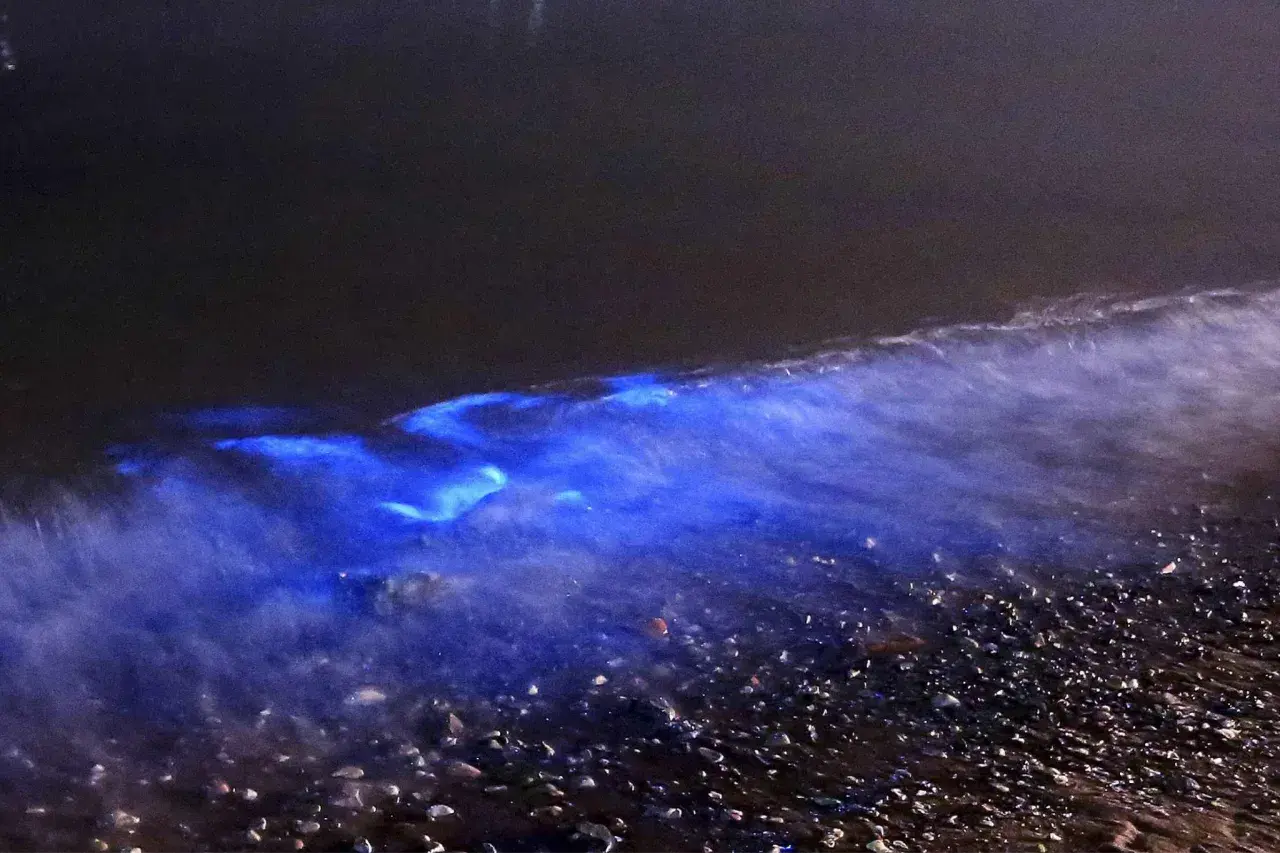Eine Welle bricht sich in der Nacht und enthüllt ein magisches, leuchtendes Meer. Der Strand ist mit kleinen Steinen bedeckt.