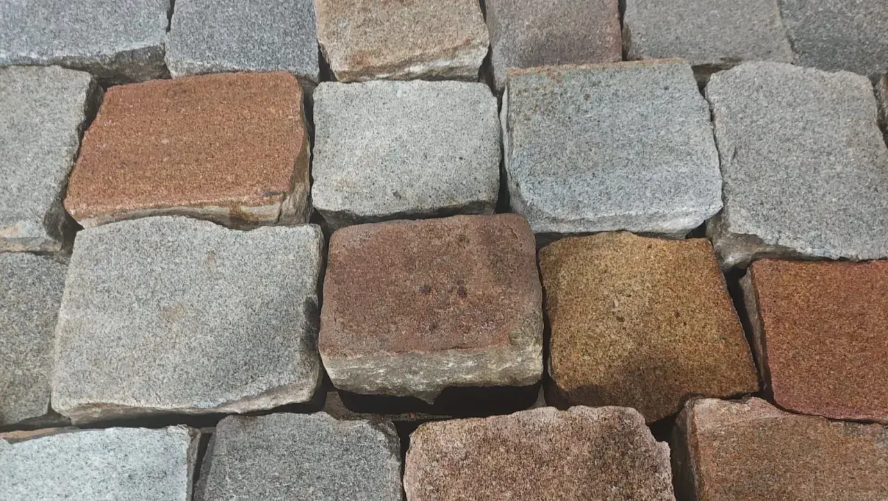 Zbliżenie na brukowiec w różnych odcieniach szarości i brązu.