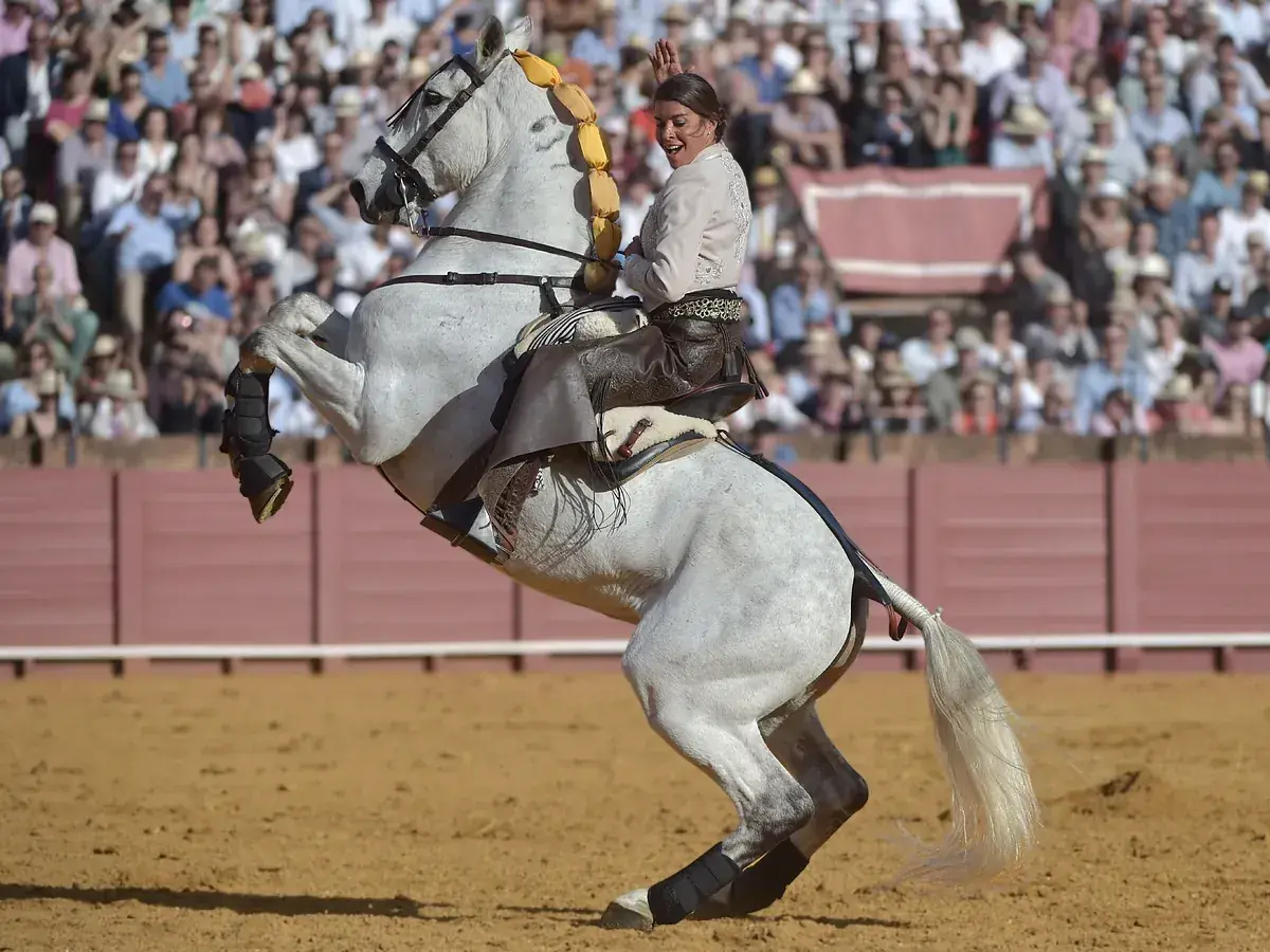 Lea Vicens, jinete en un caballo blanco encabritado, saluda a la multitud en una plaza de toros.