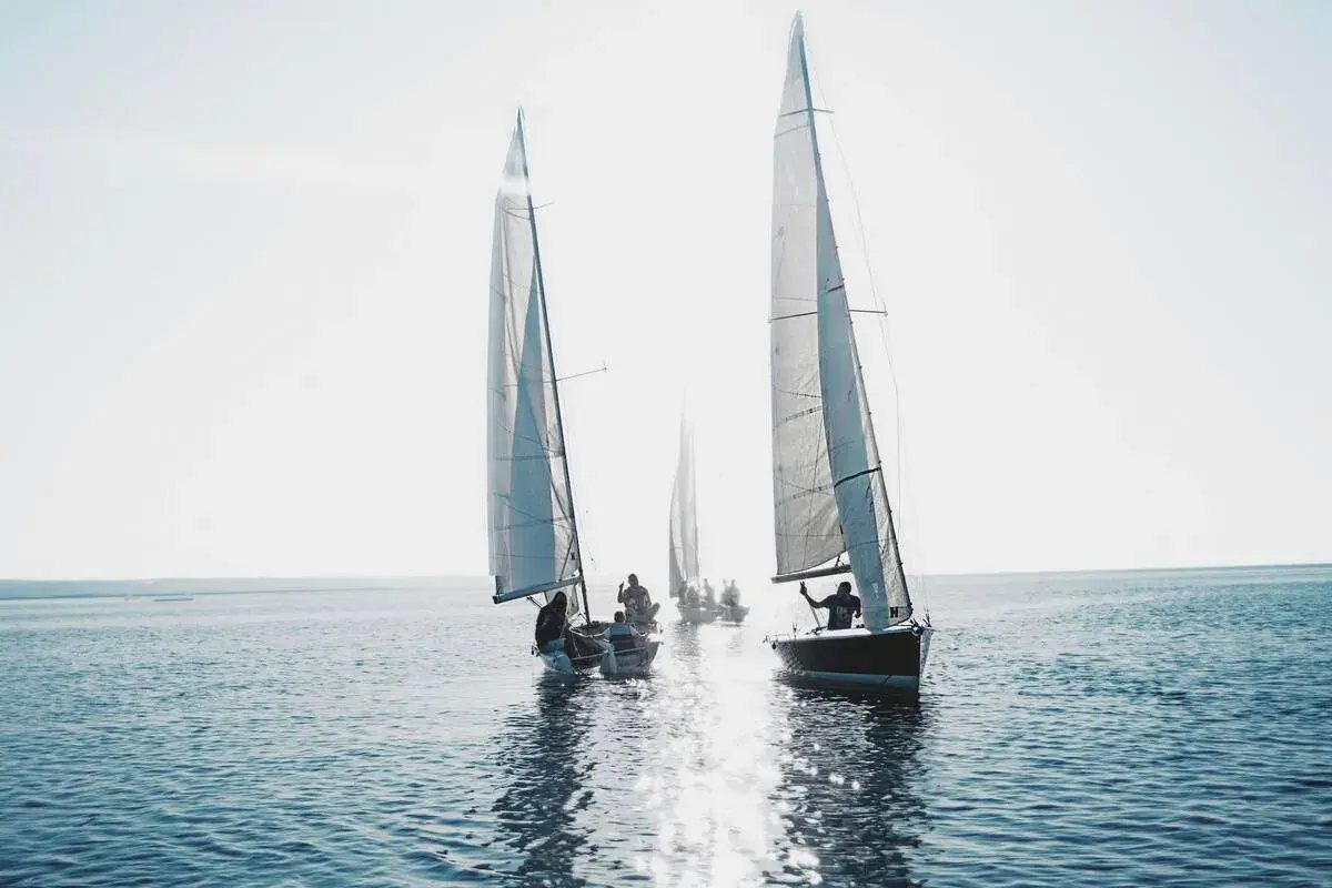 Varios veleros navegan en un día soleado. Es como soñar con barco, con las velas blancas brillando y el agua reflejando la luz.