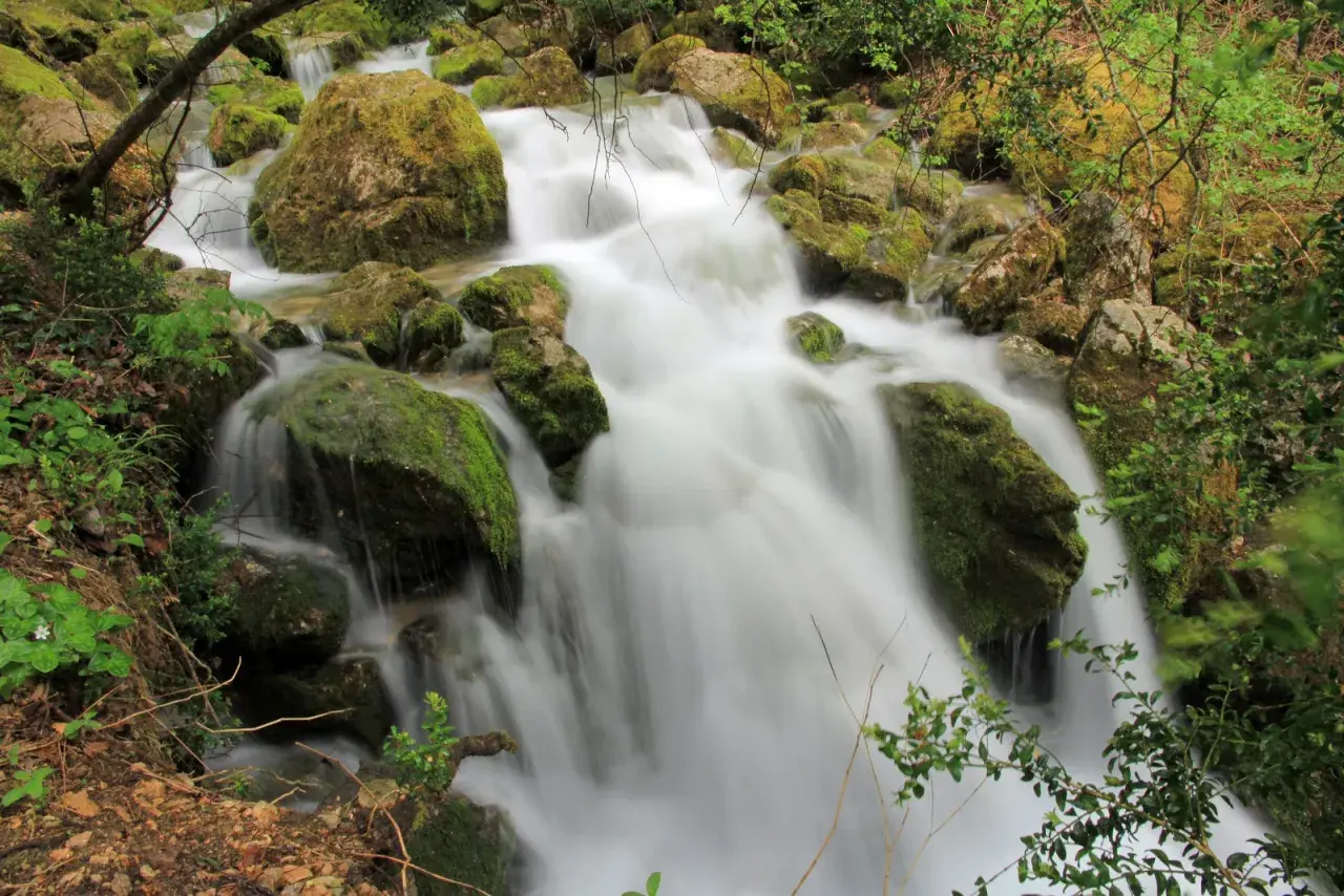 Agua blanca fluye sobre rocas cubiertas de musgo en la cascada Sant Llorenç de Morunys.