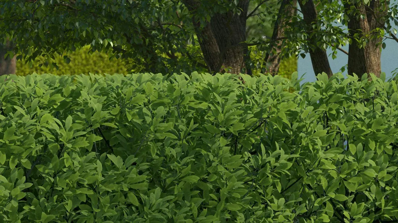 Dichte, grüne Ligusterhecke im Vordergrund, dahinter Bäume und ein weiterer Busch. Perfekt für die Planung von Ligusterhecke pflanzen pro Meter.