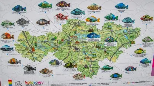 Stawy Milickie: Przewodnik po atrakcjach, które Cię zachwycą!