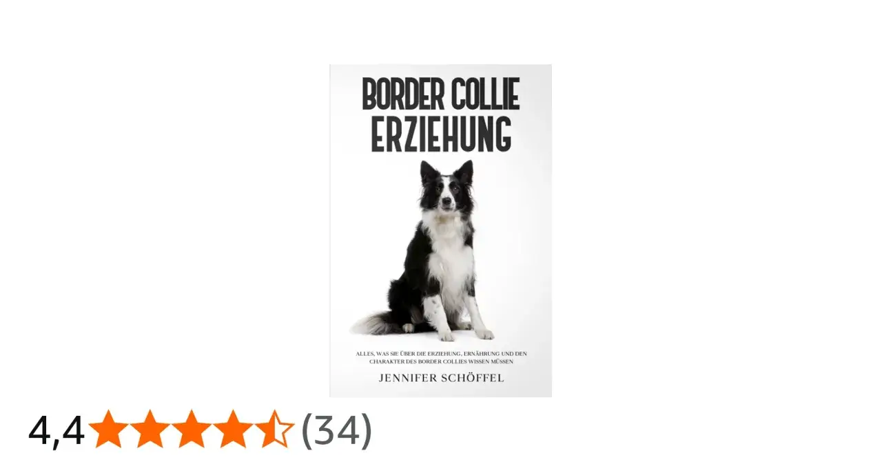 Ein Border Collie sitzt aufmerksam. Das Buch "Border Collie Erziehung" erklärt alles über den Charakter und die Haltung dieser intelligenten Hunde.