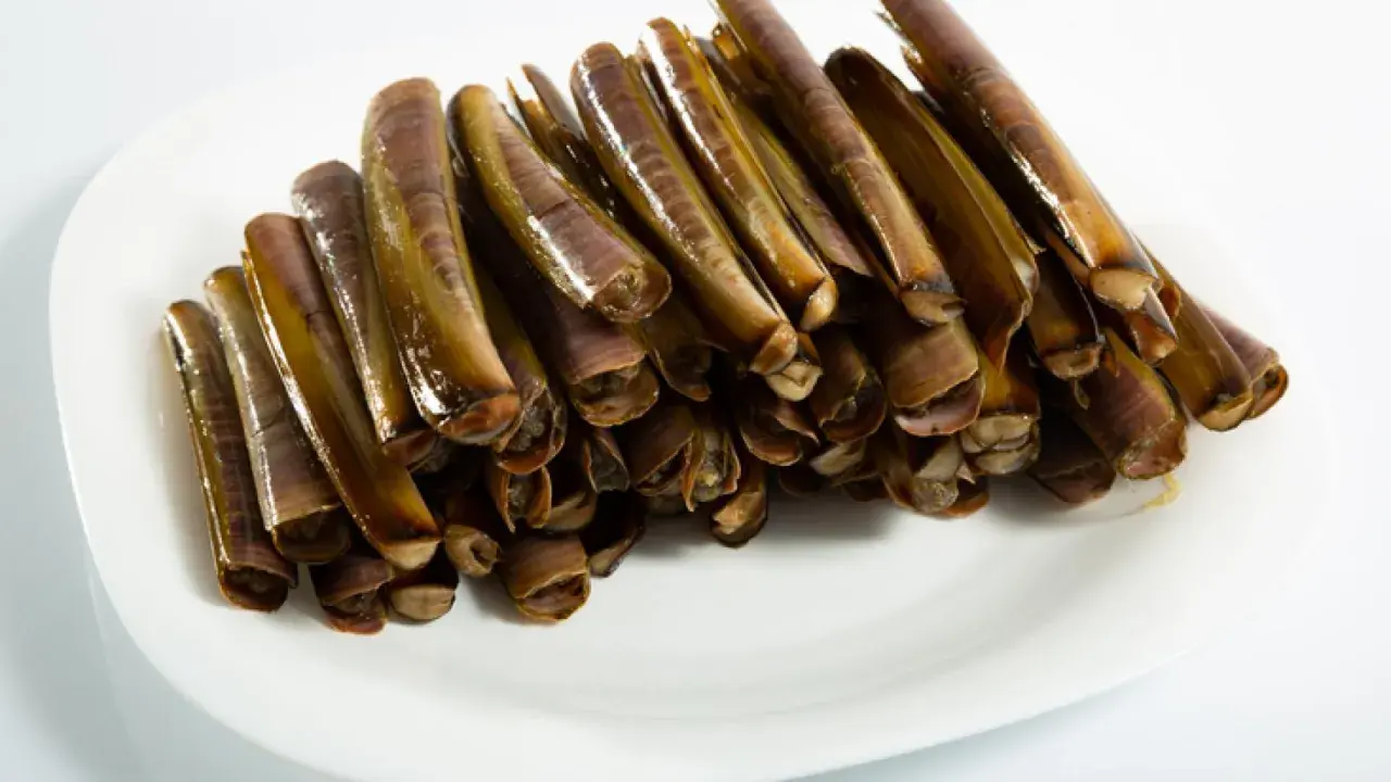 Un plato blanco lleno de navajas animal, listas para ser cocinadas.