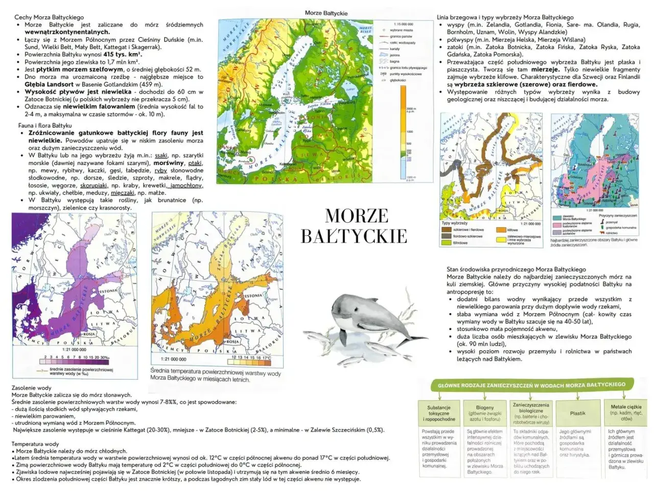 Co żyje w Bałtyku? Mapa pokazuje faunę i florę Bałtyku, w tym ryby, ssaki, ptaki i rośliny.