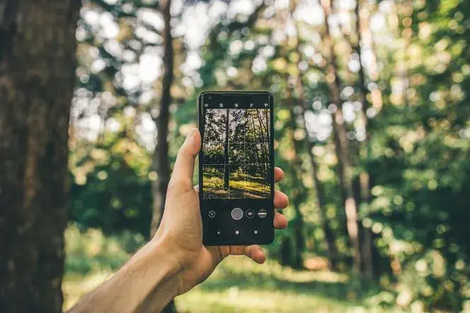 Jak nie zgubić się w lesie? Aplikacje i porady GPS