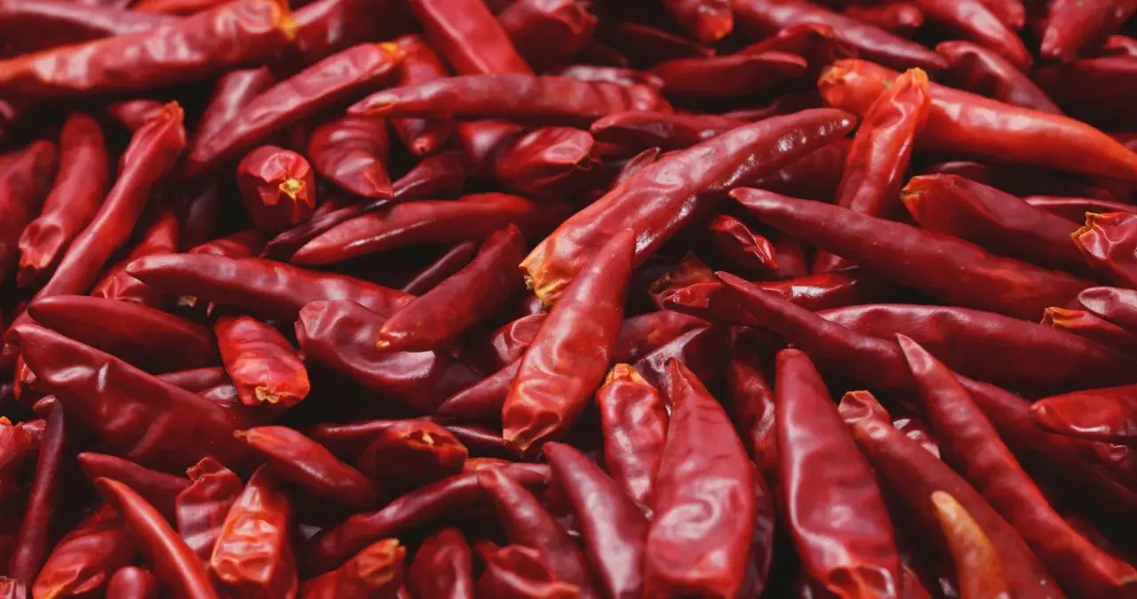 Góra suszonych, czerwonych papryczek chili, pełnych kapsaicyny, gotowych do dodania ostrości.