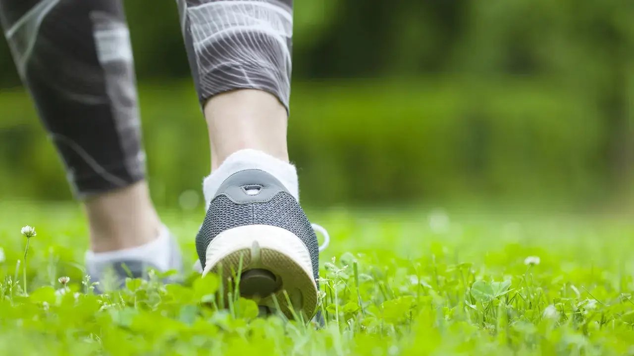 Füße in Sportschuhen und Laufhose bewegen sich durch grünes Gras. Spazieren gehen ist Sport und gut für die Gesundheit.