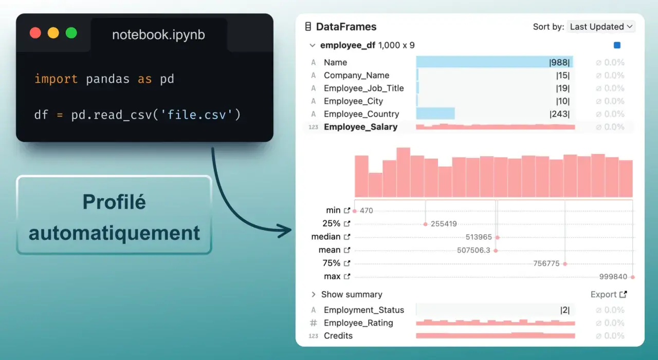 Le code Python utilise pandas pour charger un fichier CSV dans un DataFrame. Le DataFrame est ensuite profilé automatiquement, montrant des statistiques et des visualisations pour les données.