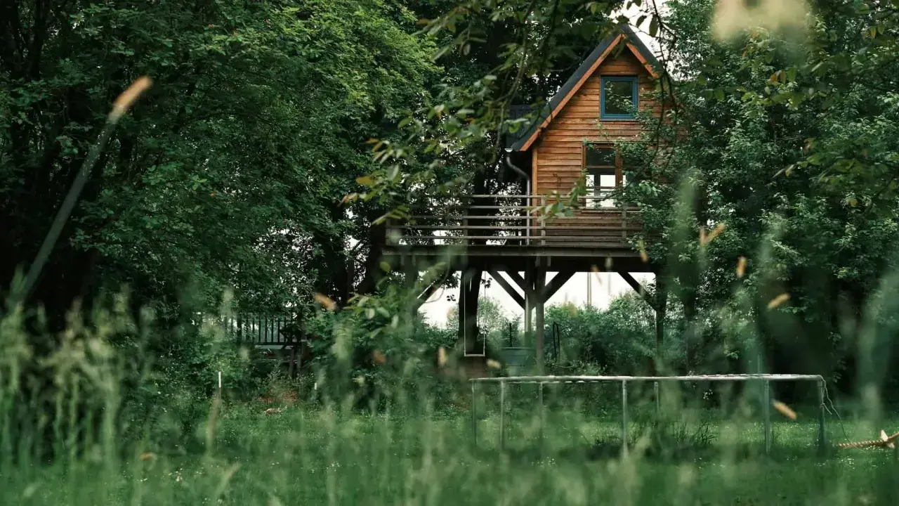 Domek na drzewie, jeden z najdziwniejszych hoteli w Polsce, otoczony bujną zielenią.