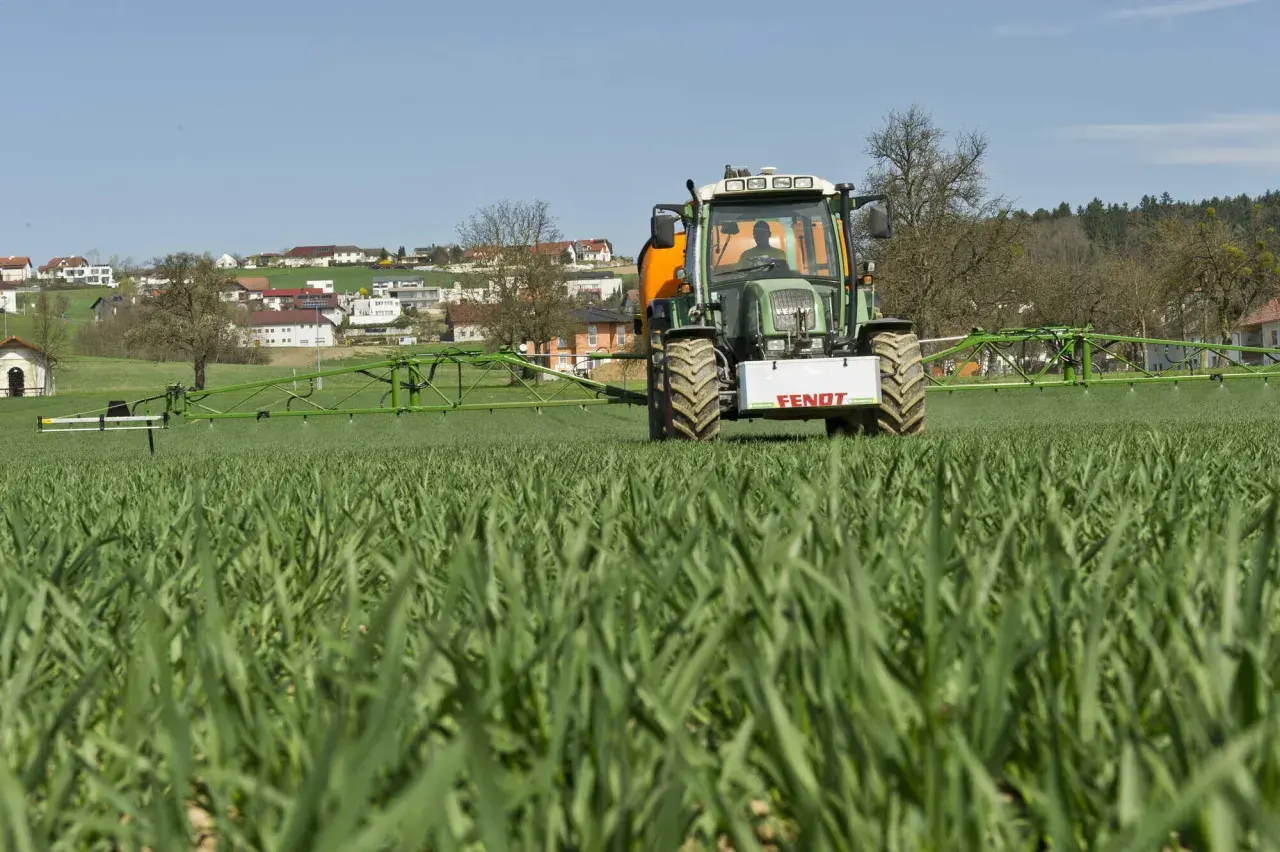 Ein Fendt-Traktor fährt über ein Feld mit jungem Getreide. Die Sprühbalken sind ausgefahren. Bald ist die Zeit, wann wird weizen geerntet.