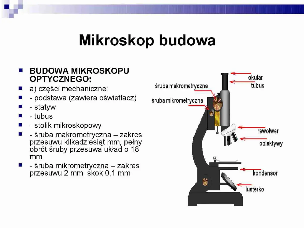 Do czego służy stolik w mikroskopie? Odkryj jego kluczowe funkcje