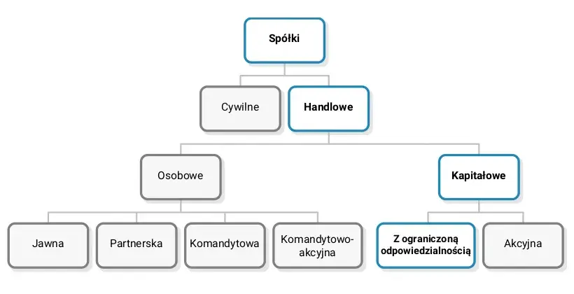 Spółka z ograniczoną odpowiedzialnością co to? Kluczowe informacje i wady