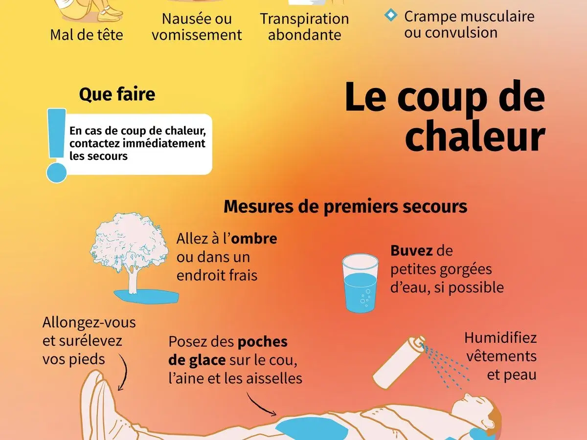 Infographie expliquant comment soigner un coup de chaleur : aller à l'ombre, boire de l'eau, humidifier la peau, allonger la personne et surélever ses pieds.