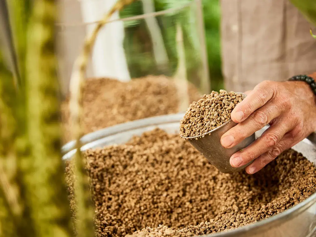Dłoń wsypuje do dużej misy drobne, brązowe granulki. To idealne podłoże mineralne dla roślin, które zapewni im doskonały drenaż i napowietrzenie.