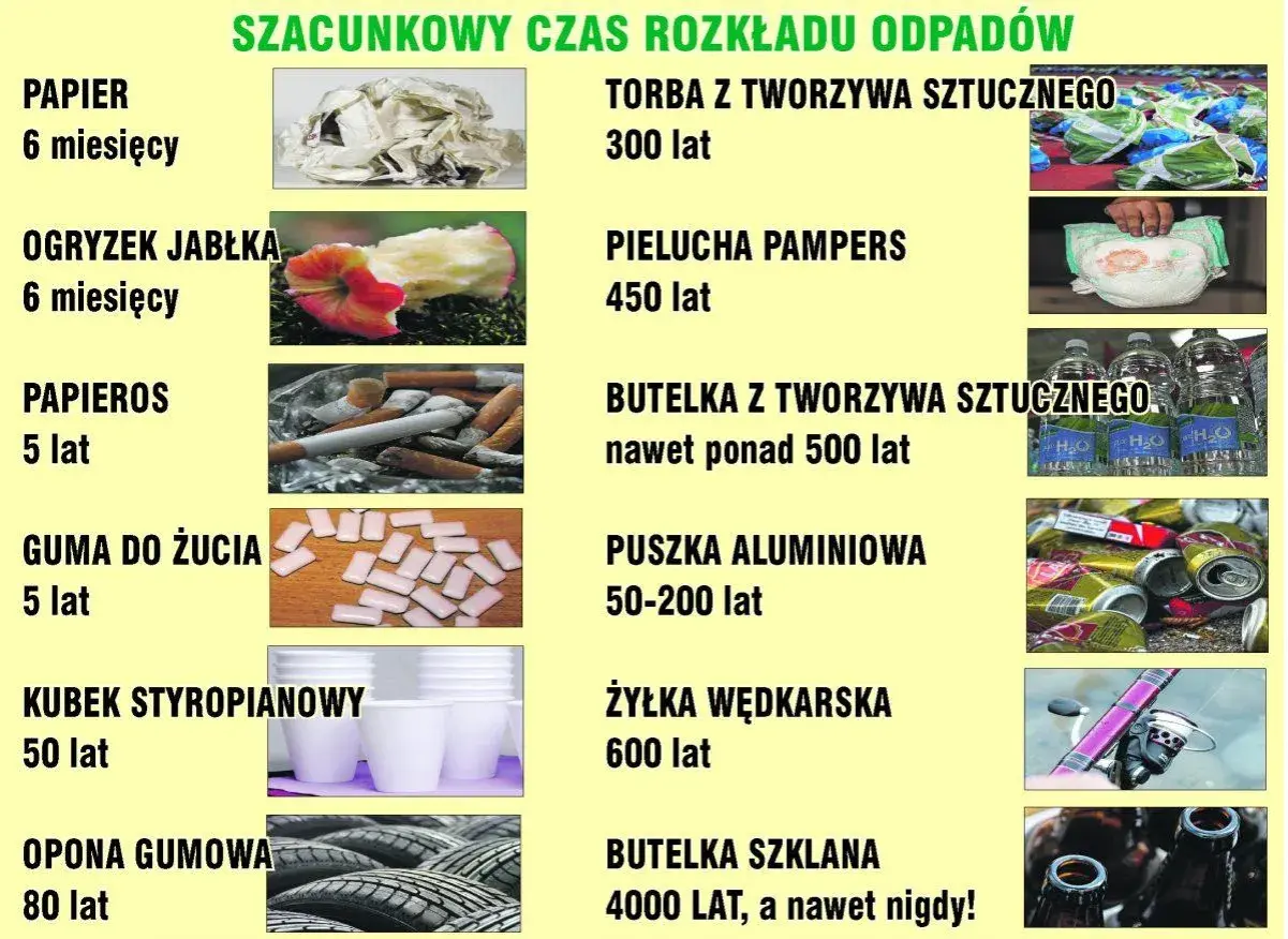 Papier rozkłada się 6 miesięcy. Tabela pokazuje szacunkowy czas rozkładu różnych odpadów, od papieru po butelki szklane.