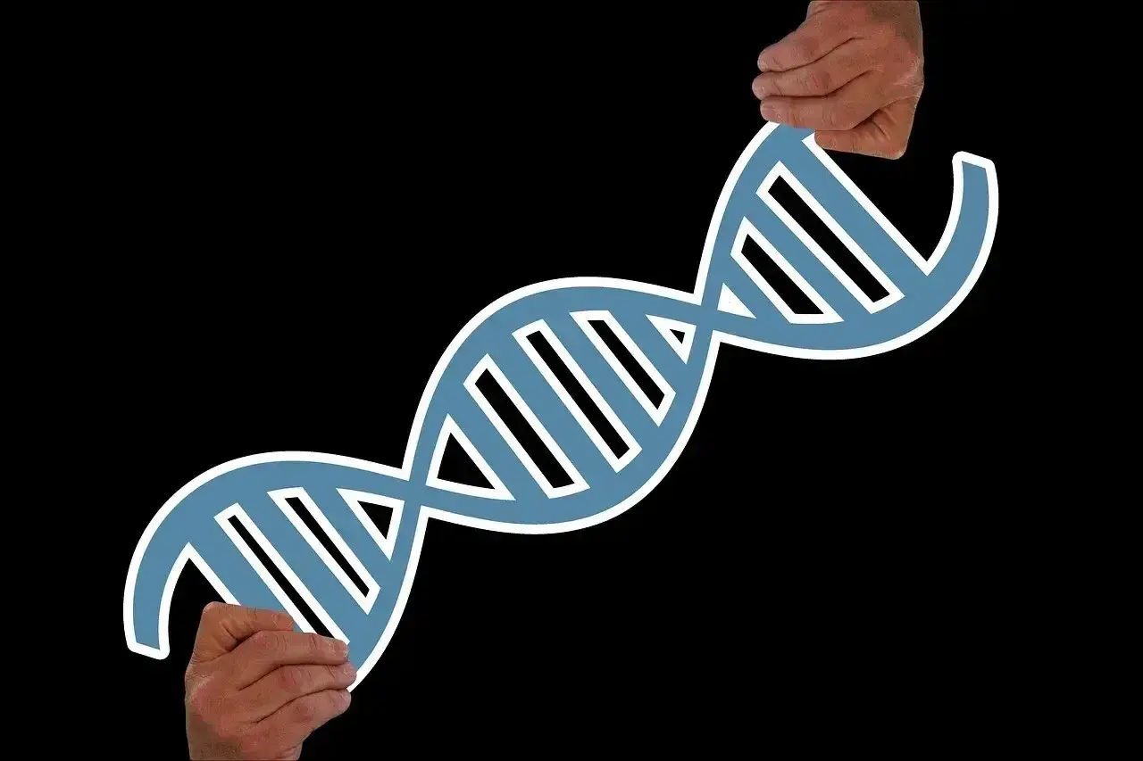 Dwie dłonie trzymają symbol DNA, sugerując pytanie: czy borderline jest dziedziczne?