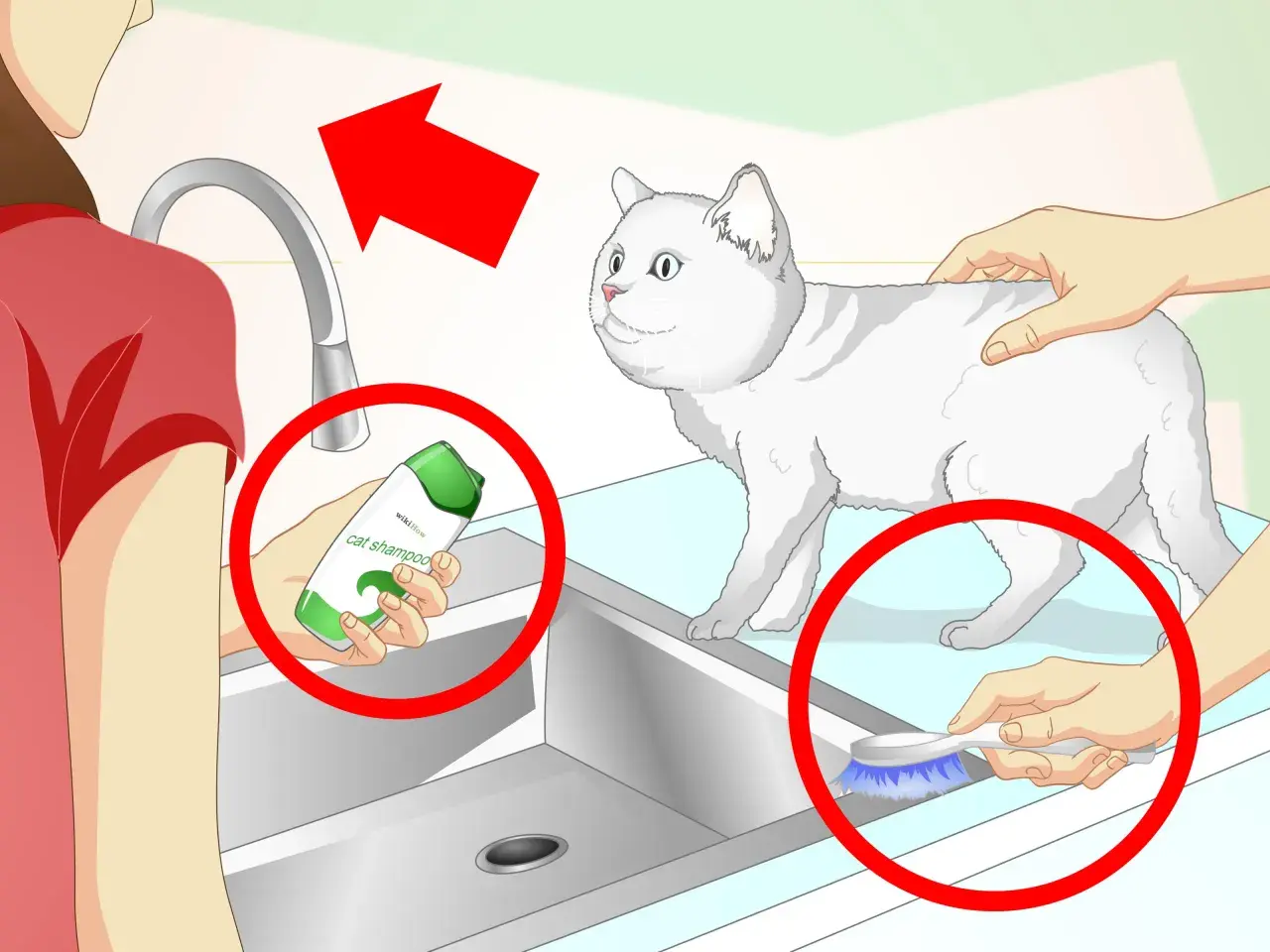 Guía visual para saber como bañar a un gato: se muestra champú para gatos, un cepillo y un gato blanco.