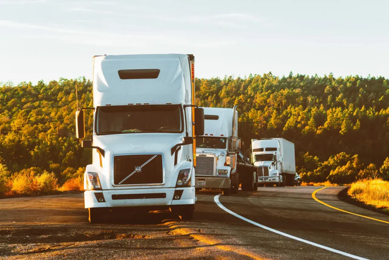 Konwój białych ciężarówek na drodze, otoczony przez drzewa. Efektywna logistyka transportowa w akcji.