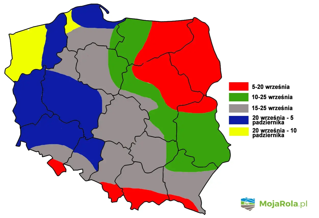 Mapa Polski z terminami siewu pszenicy ozimej. Różne kolory oznaczają terminy od 5 września do 10 października.