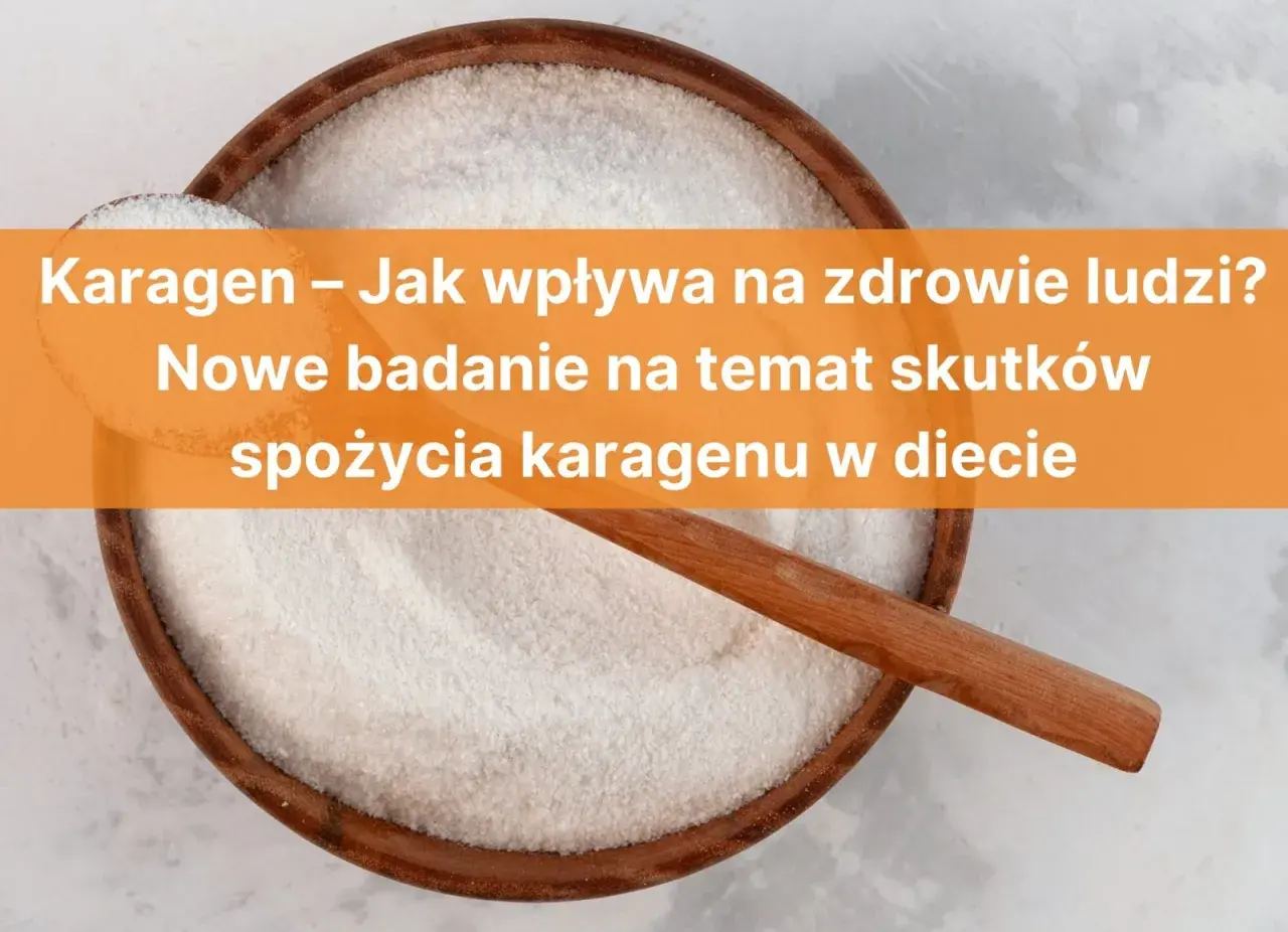 Biały proszek w misce, prawdopodobnie karagen. Jak wpływa na zdrowie ludzi? Nowe badanie o skutkach spożycia karagenu w diecie.