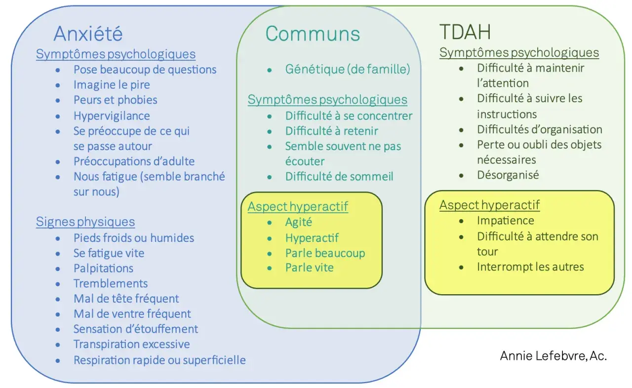 Schéma comparant l'anxiété, les points communs et le TDAH. Le manque de concentration est un symptôme psychologique partagé.