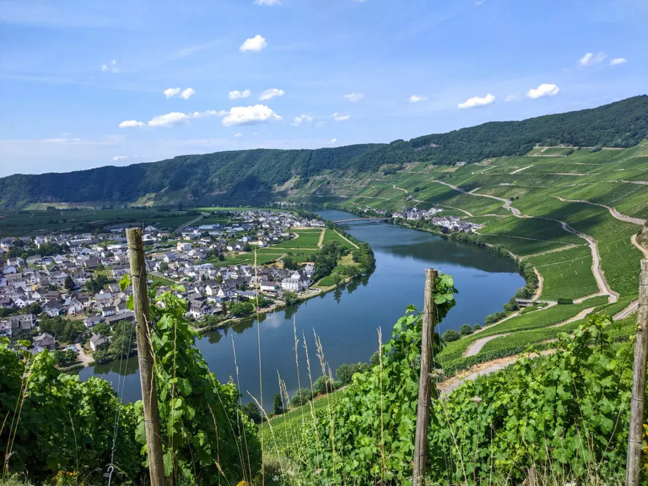 Herrliche Aussicht beim Moselsteig wandern: Weinberge schlängeln sich am Fluss entlang, ein Dorf schmiegt sich an die Mosel.