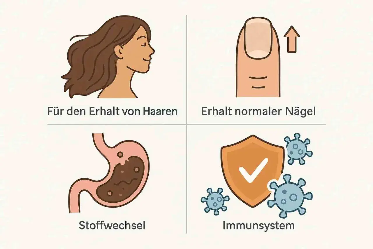Biotinmangel Symptome: gesunde Haare, starke Nägel, guter Stoffwechsel & Immunsystem. Illustration zeigt Frau, Nagel, Magen, Schild mit Viren.