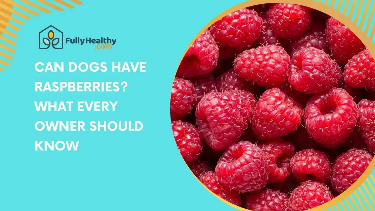 Close-up of ripe raspberries with text asking "Can dogs have raspberries? What every owner should know.