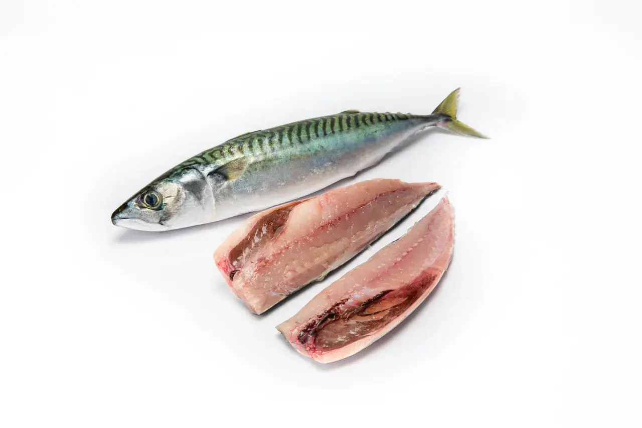 Un pescado entero y dos filetes de caballa, un pescado azul, listos para cocinar.