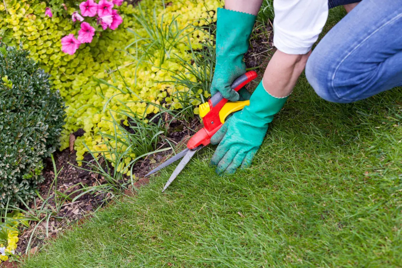 Grüne Handschuhe und eine Gartenschere für saubere Rasenkante Ideen. Perfekt für den gepflegten Garten.