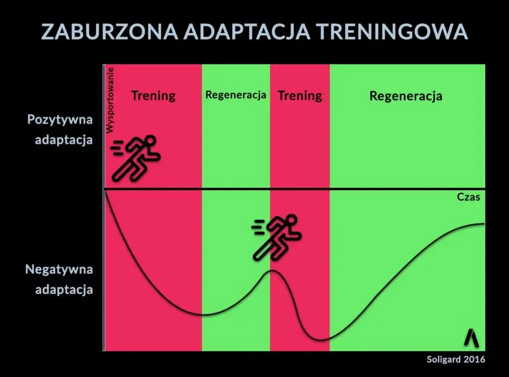 Kiedy jeść przed, a kiedy po treningu? Klucz do maksymalnych efektów i regeneracji