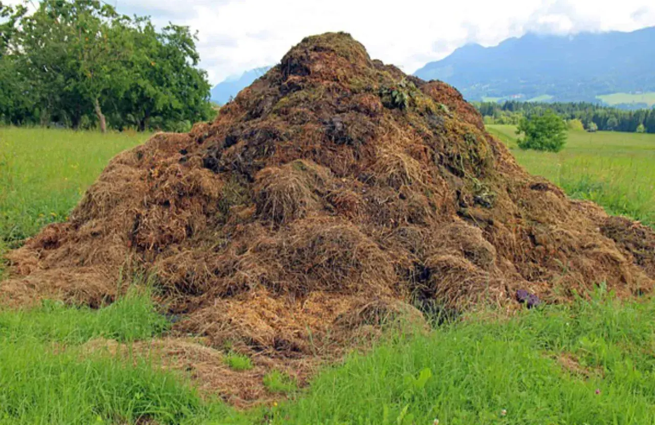 Enorme cumulo di materiale organico in un prato verde, con alberi e montagne sullo sfondo. Ricorda cosa non mettere nel compost per un risultato ottimale.