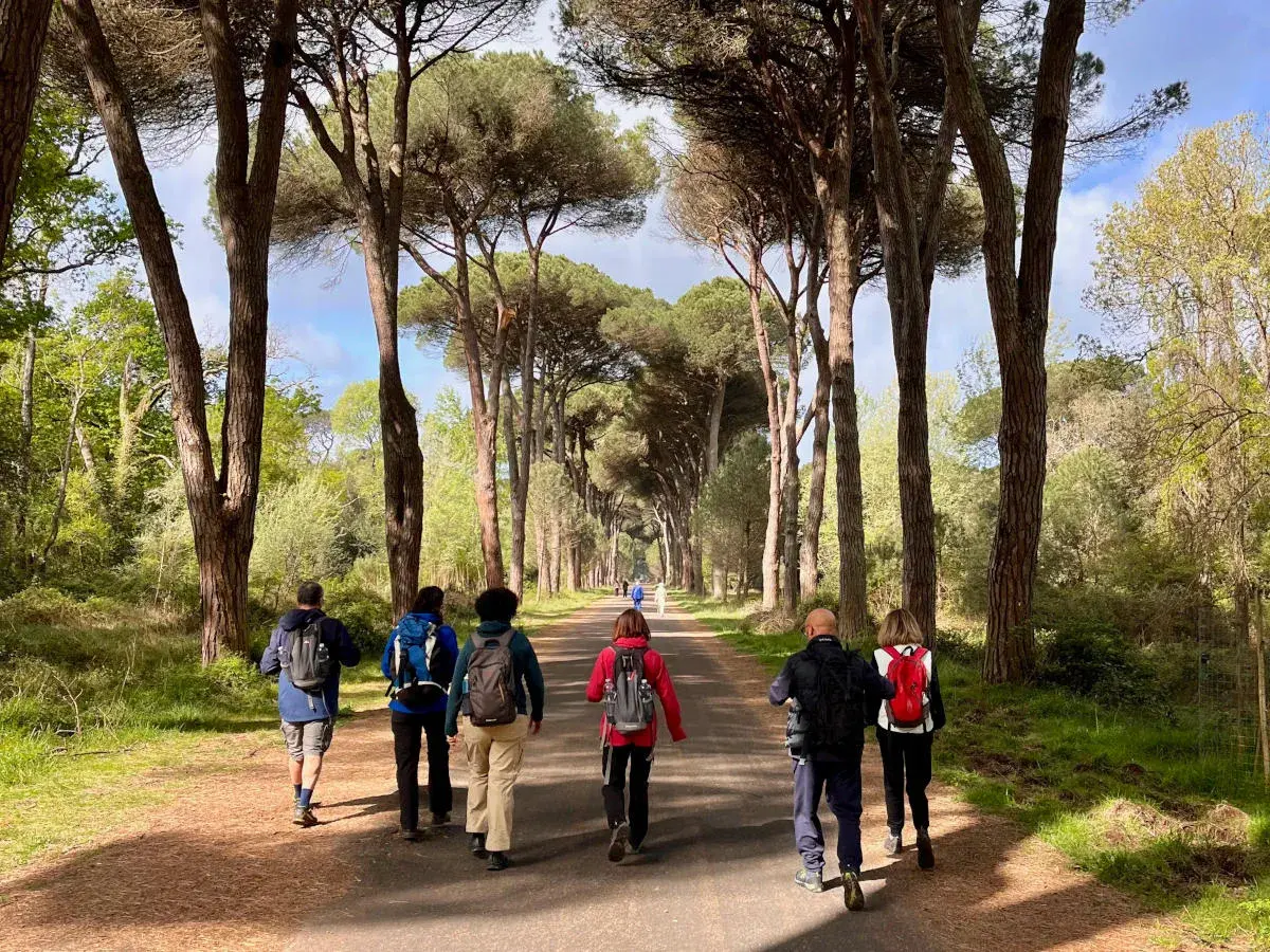 Gruppo di escursionisti cammina su un sentiero alberato, godendosi la natura. Il **san rossore** del cielo si riflette tra i pini.