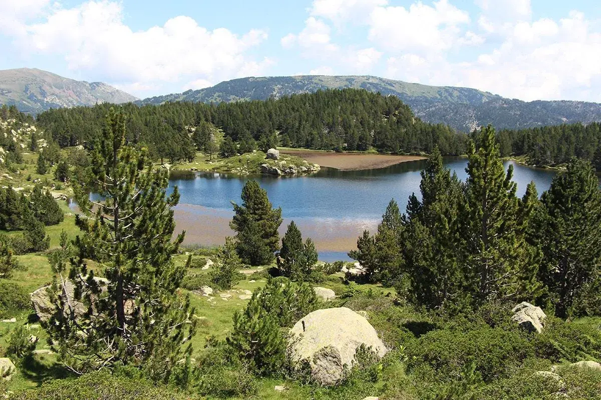 Lago sereno rodeado de pinos y montañas. El agua refleja el cielo azul con nubes algodonosas. Un paisaje idílico, casi como si las bulloses hubieran sido pintadas.