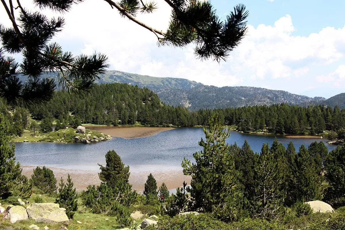 Familia disfrutando de excursiones en Cerdanya, caminando por un sendero rodeado de vegetación y árboles.